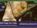 Self Help for Cats Collector’s Postcard # 1